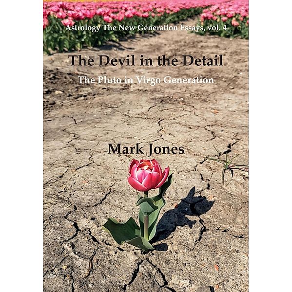 The Devil in the Detail / Astrology the New Generation Bd.4, Mark Jones