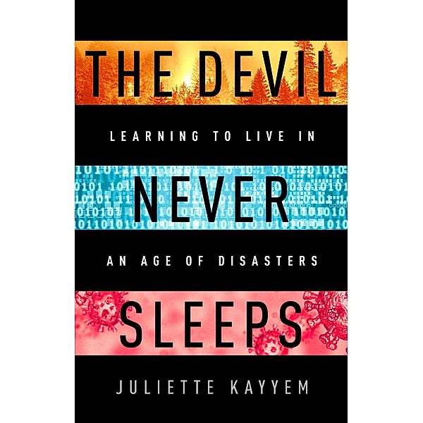 The Devil Never Sleeps, Juliette Kayyem