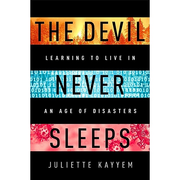 The Devil Never Sleeps, Juliette Kayyem