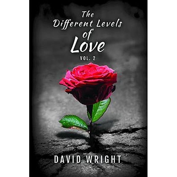 The Different Levels of Love, Volume 2 / DIPS Publishing, David Wright