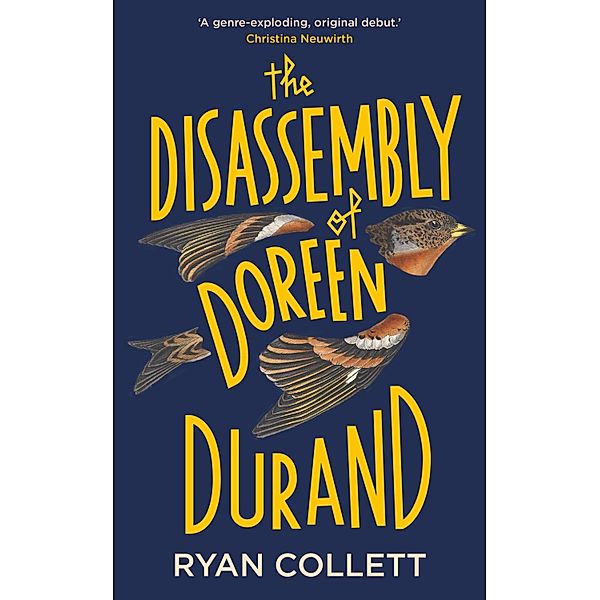 The Disassembly of Doreen Durand, Ryan Collett
