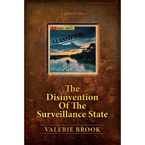 The Disinvention Of The Surveillance State, Valerie Brook