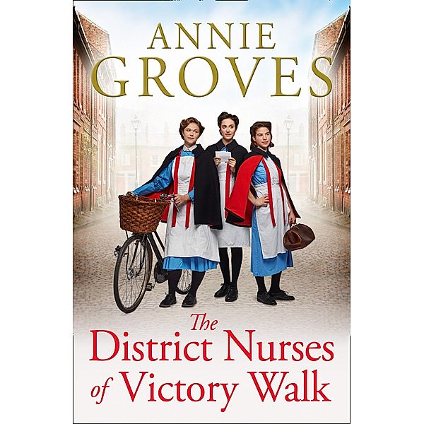 The District Nurses of Victory Walk / The District Nurses Bd.1, Annie Groves