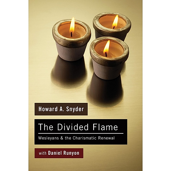The Divided Flame, Howard A. Snyder, Daniel Runyon