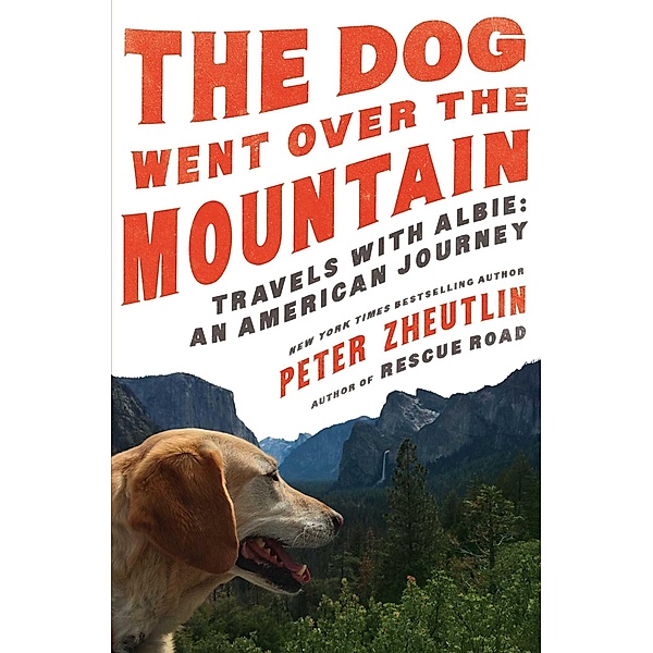 The Dog Went Over the Mountain, Peter Zheutlin