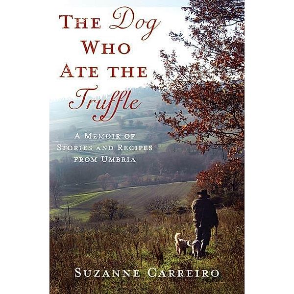 The Dog Who Ate the Truffle, Suzanne Carreiro