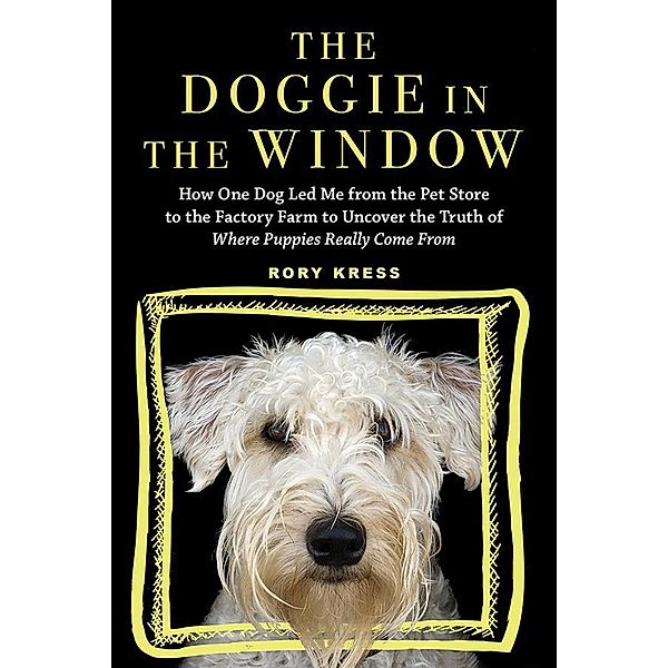 The Doggie in the Window, Rory Kress