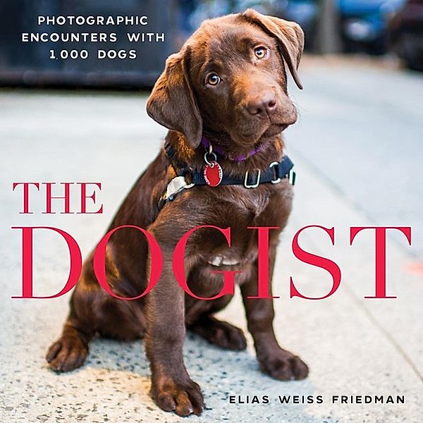 The Dogist, Elias Weiss Friedman