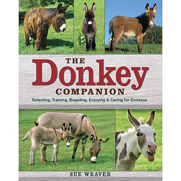 The Donkey Companion, Sue Weaver