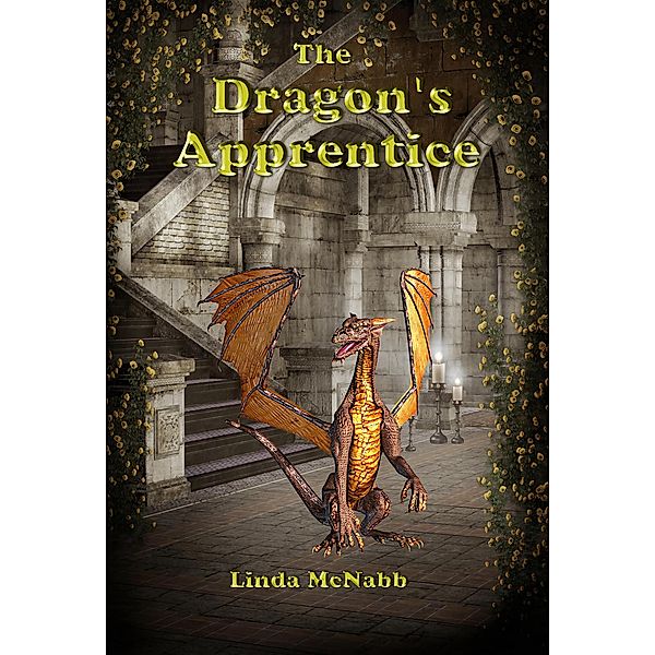 The Dragon's Apprentice (Dragon Valley) / Dragon Valley, Linda McNabb
