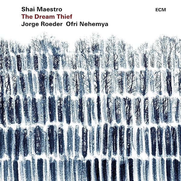 The Dream Thief, Shai Maestro Trio