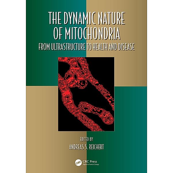 The Dynamic Nature of Mitochondria