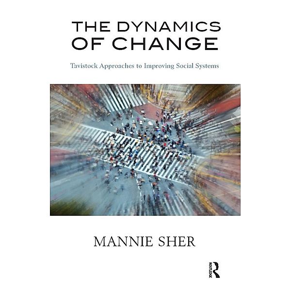 The Dynamics of Change, Mannie Sher