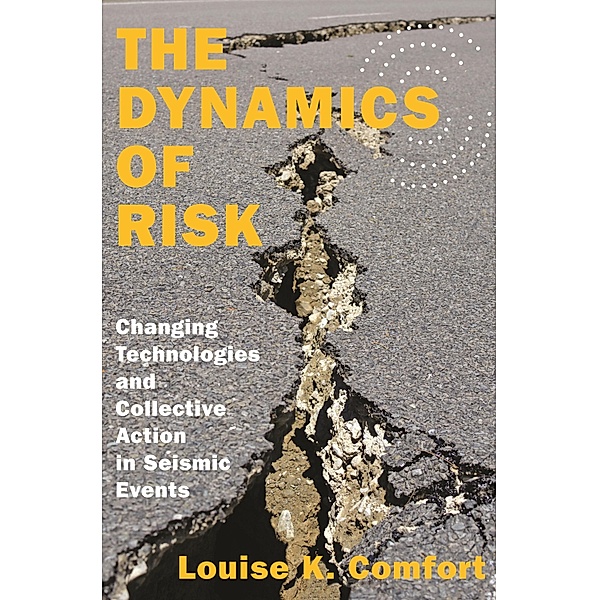 The Dynamics of Risk / Princeton Studies in Complexity Bd.27, Louise K. Comfort