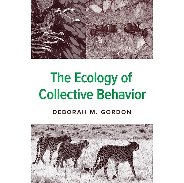The Ecology of Collective Behavior, Deborah M. Gordon