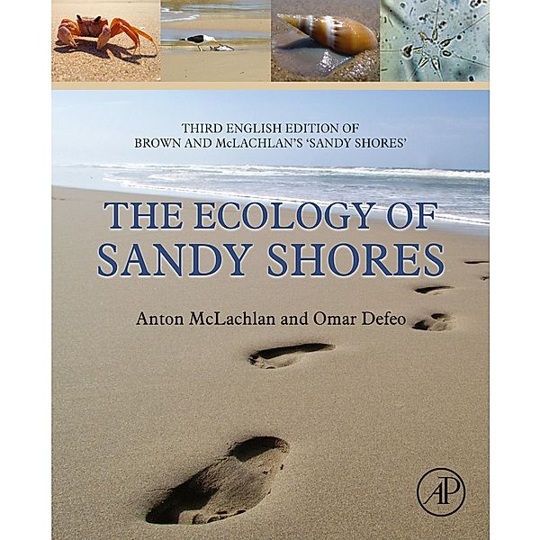 The Ecology of Sandy Shores, Anton McLachlan, Omar Defeo