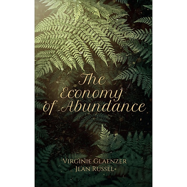 The Economy of Abundance, Virginie Glaenzer