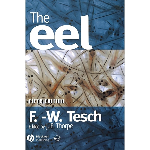 The Eel, Friedrich-Wilhelm Tesch