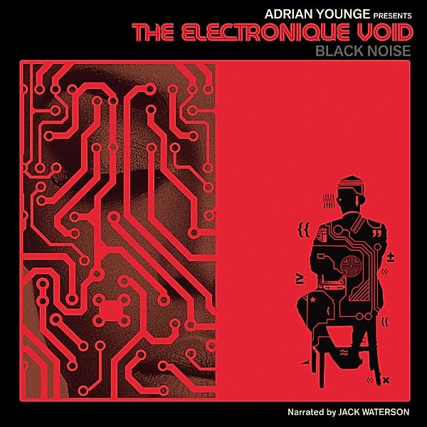 THE ELECTRONIQUE VOID: BLACK NOISE, Adrian Younge