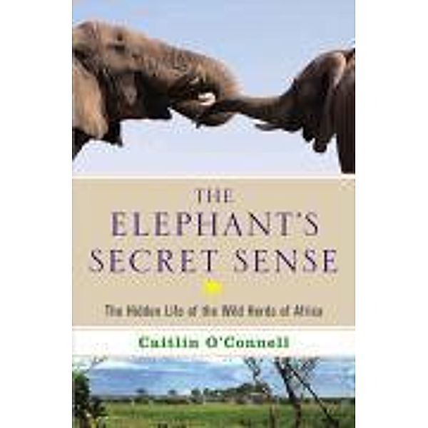 The Elephant's Secret Sense, Caitlin O'Connell
