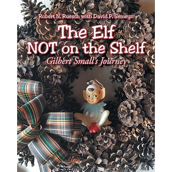 The Elf NOT on the Shelf, Robert N. Ruesch