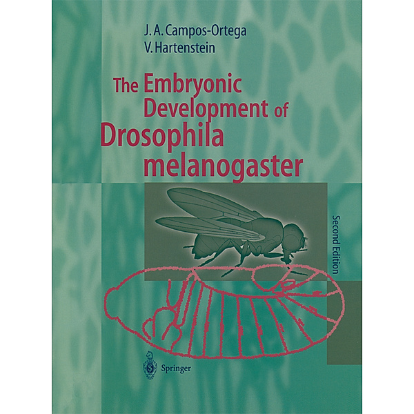 The Embryonic Development of Drosophila melanogaster, Jose A. Campos-Ortega, Volker Hartenstein