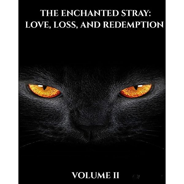 The Enchanted Stray: Love, Loss, and Redemption, Ciara