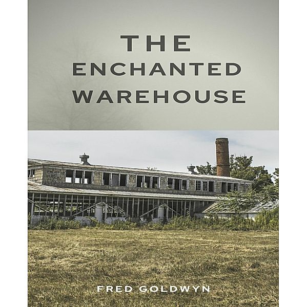 The Enchanted Warehouse, Fred Goldwyn