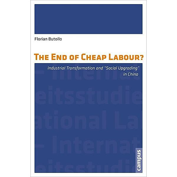 The End of Cheap Labour? / Labour Studies Bd.9, Florian Butollo