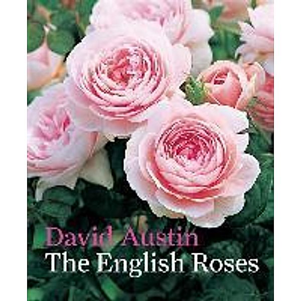 The English Roses, Andrew Lawson, David Austin