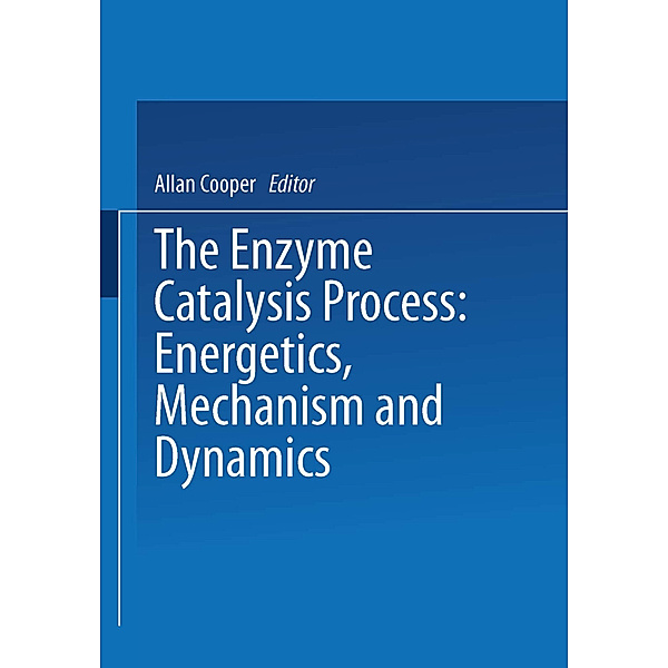 The Enzyme Catalysis Process