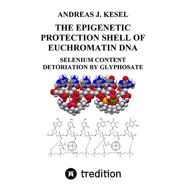 THE EPIGENETIC PROTECTION SHELL OF EUCHROMATIN DNA, Andreas Johannes Kesel