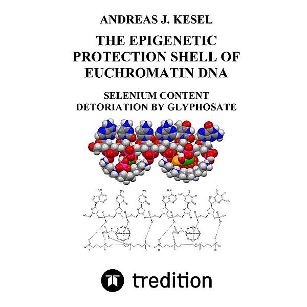 THE EPIGENETIC PROTECTION SHELL OF EUCHROMATIN DNA, Andreas Johannes Kesel