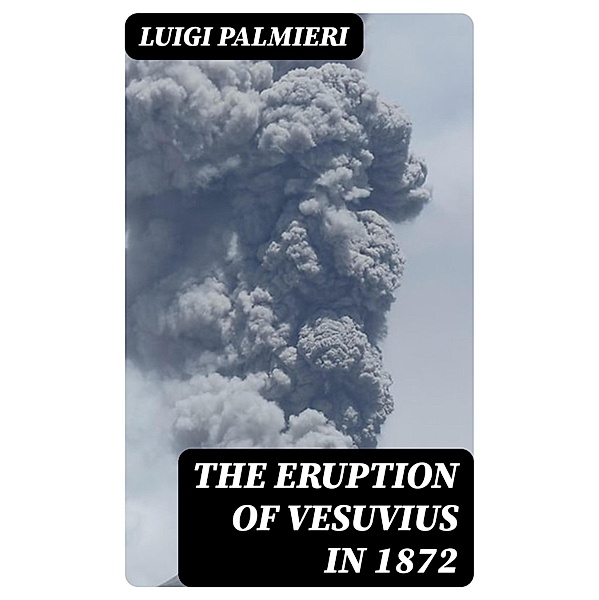 The Eruption of Vesuvius in 1872, Luigi Palmieri