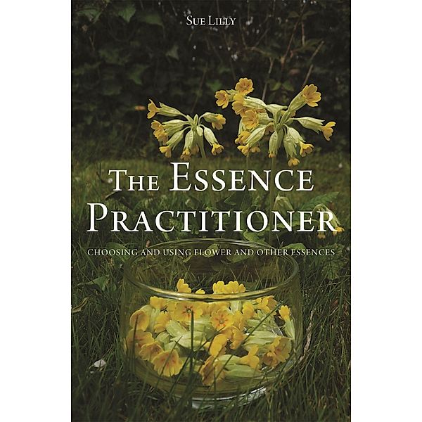 The Essence Practitioner, Sue Lilly