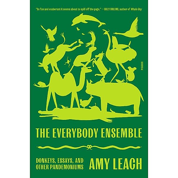 The Everybody Ensemble, Amy Leach