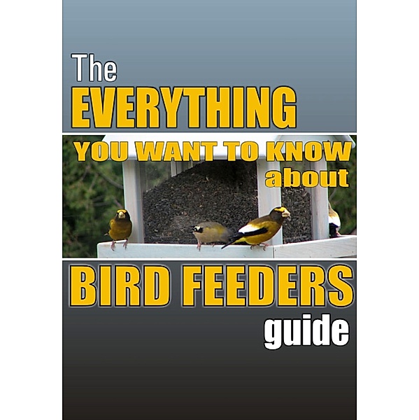 The Everything you Want to Know About Bird Feeders Guide, Ramsesvii