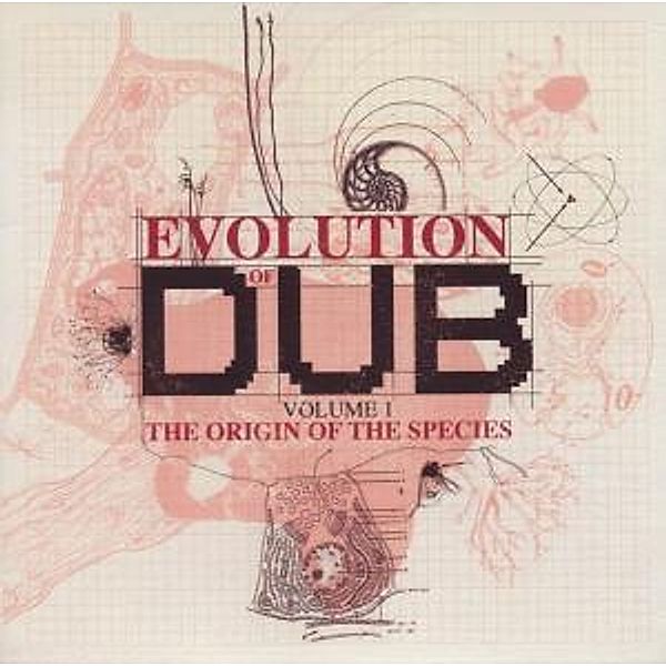 The Evolution Of Dub Vol.1 (Box-Set), King Tubby