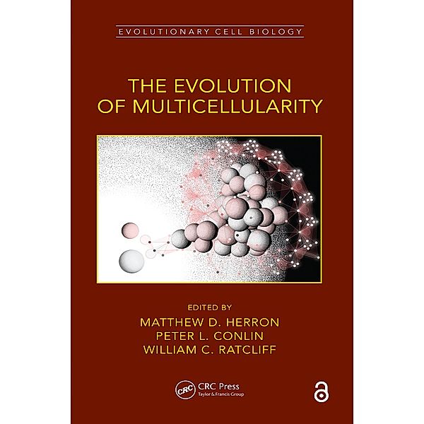 The Evolution of Multicellularity