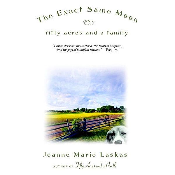 The Exact Same Moon, Jeanne Marie Laskas