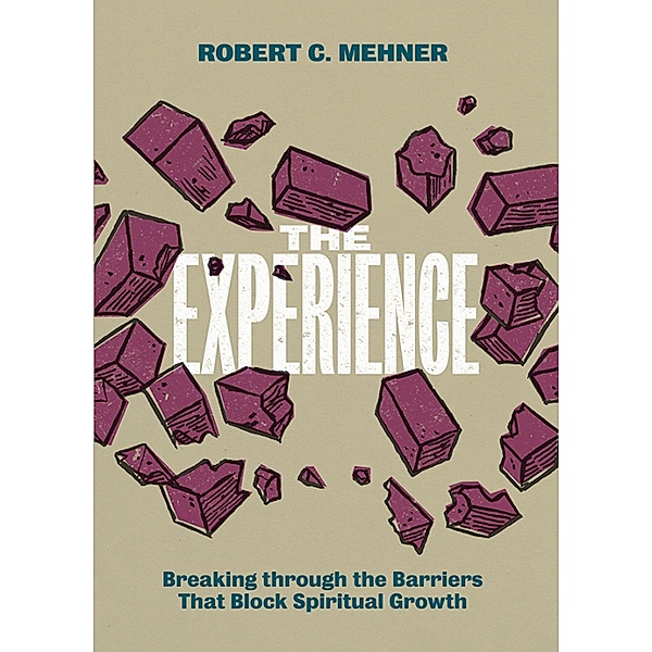 The Experience / Classics Illustrated Junior, Robert C. Mehner