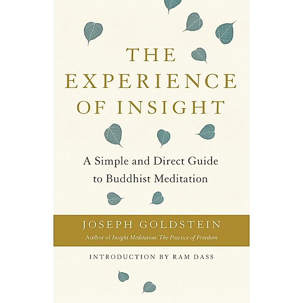 The Experience of Insight, Joseph Goldstein