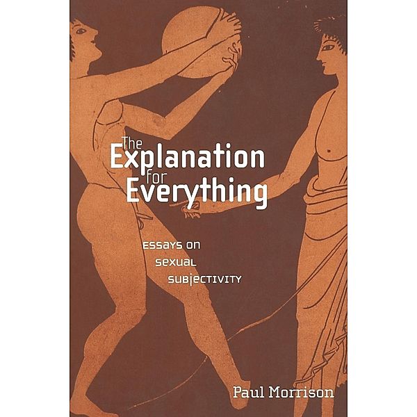 The Explanation For Everything / Sexual Cultures Bd.31, Paul Morrison