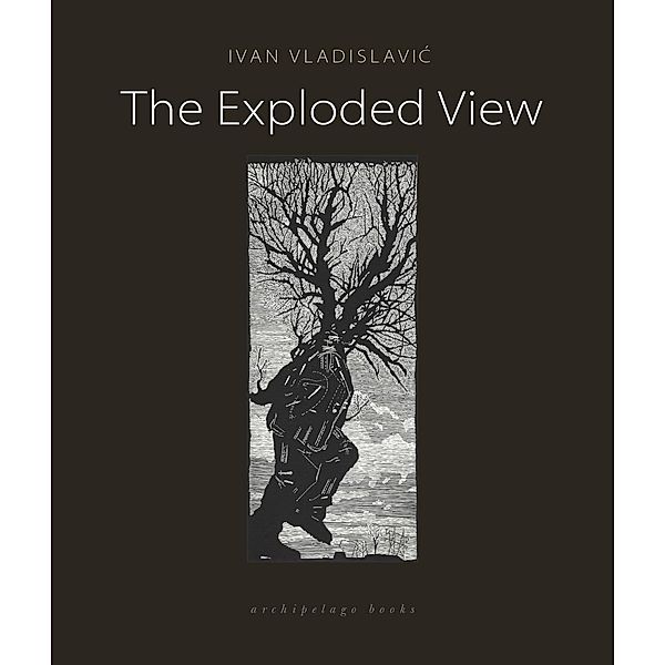 The Exploded View, Ivan Vladislavic