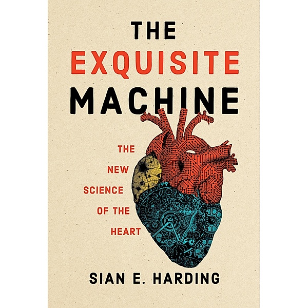 The Exquisite Machine, Sian E. Harding