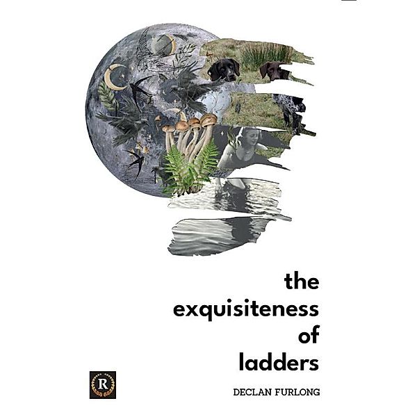 The Exquisiteness of Ladders, Declan Furlong