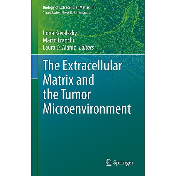The Extracellular Matrix and the Tumor Microenvironment / Biology of Extracellular Matrix Bd.11