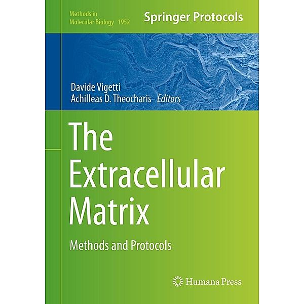 The Extracellular Matrix / Methods in Molecular Biology Bd.1952