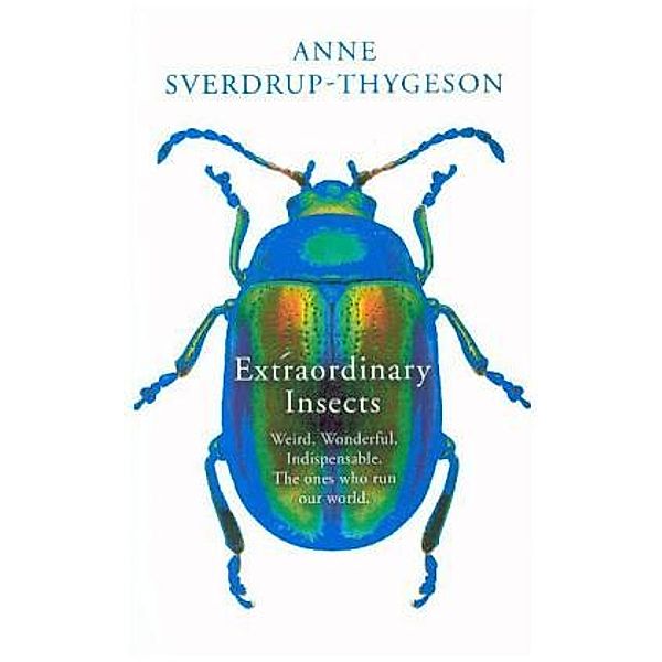The Extraordinary Lives of Insects, Anne Sverdrup-Thygeson