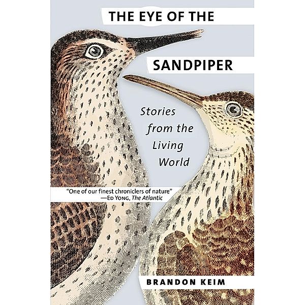 The Eye of the Sandpiper, Brandon Keim